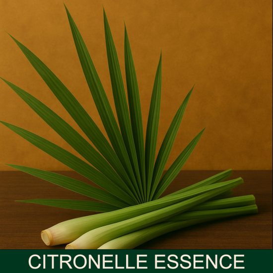 Citronelle Essence Miris za sveće