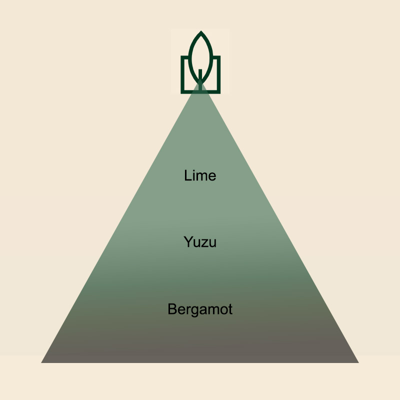 Lemon Yuzu Miris za sveće - Slika 2