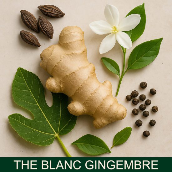 The Blanc gingembre Miris za sveće