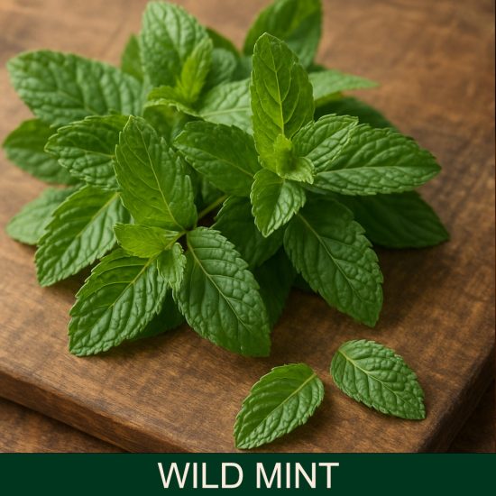 Wild Mint Miris za sveće