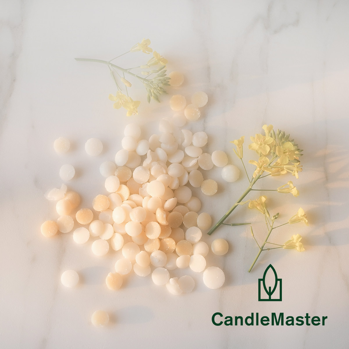 Terrawax vosak za kalupe - Slika 3