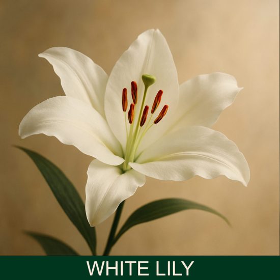 White Lily Miris za svijeće